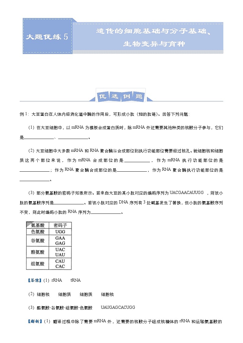 高中生物高考 2021届高三大题优练5 遗传的细胞基础与分子基础、生物变异与育种 教师版第1页