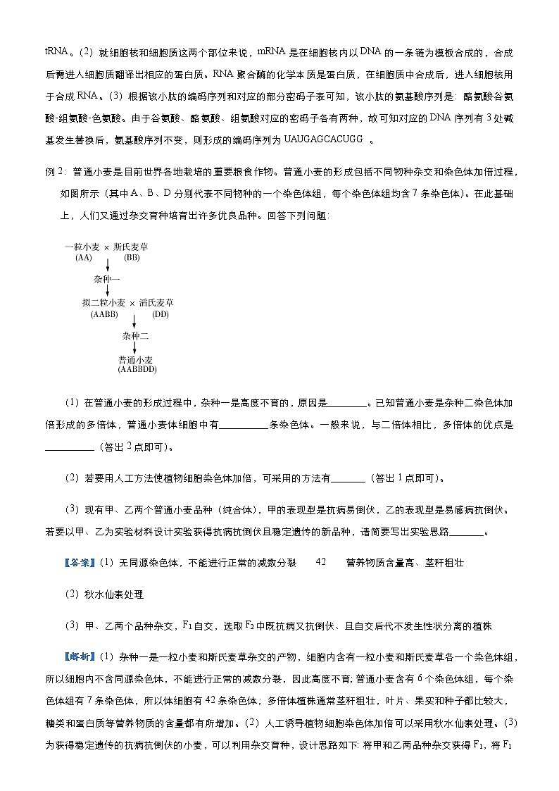 高中生物高考 2021届高三大题优练5 遗传的细胞基础与分子基础、生物变异与育种 教师版第2页