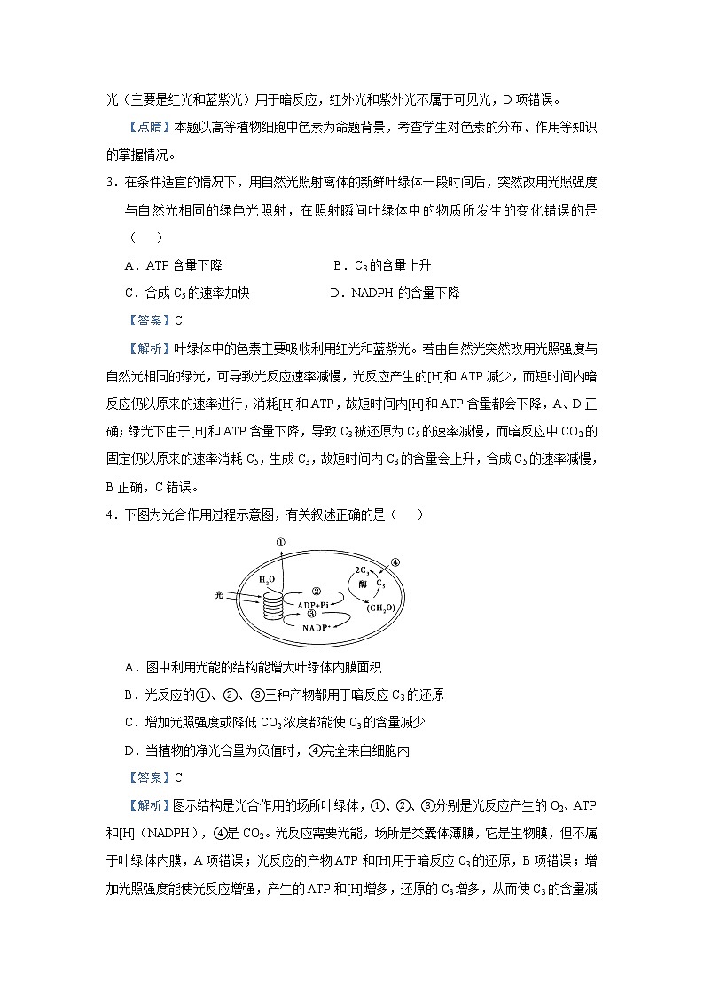 高中生物高考 2021届小题必练6  光合作用、光合作用与细胞呼吸的关系 教师版第3页