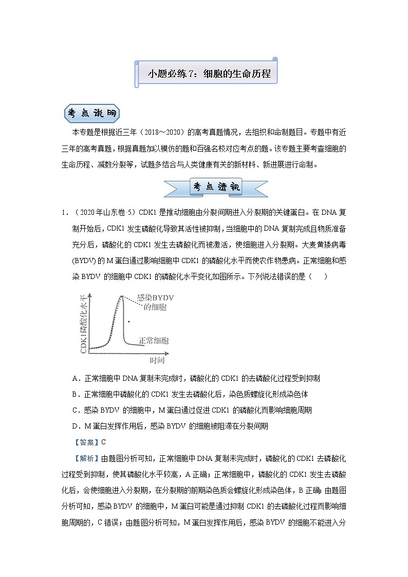 高中生物高考 2021届小题必练7  细胞的生命历程 教师版第1页