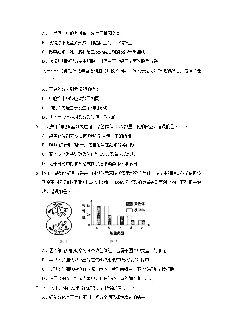高中生物高考 2021届小题必练7  细胞的生命历程 学生版第3页