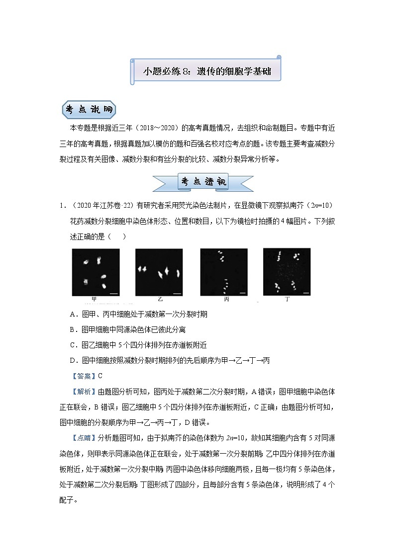 高中生物高考 2021届小题必练8  遗传的细胞学基础 教师版01