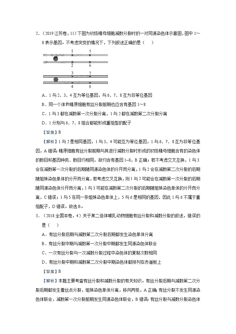 高中生物高考 2021届小题必练8  遗传的细胞学基础 教师版02