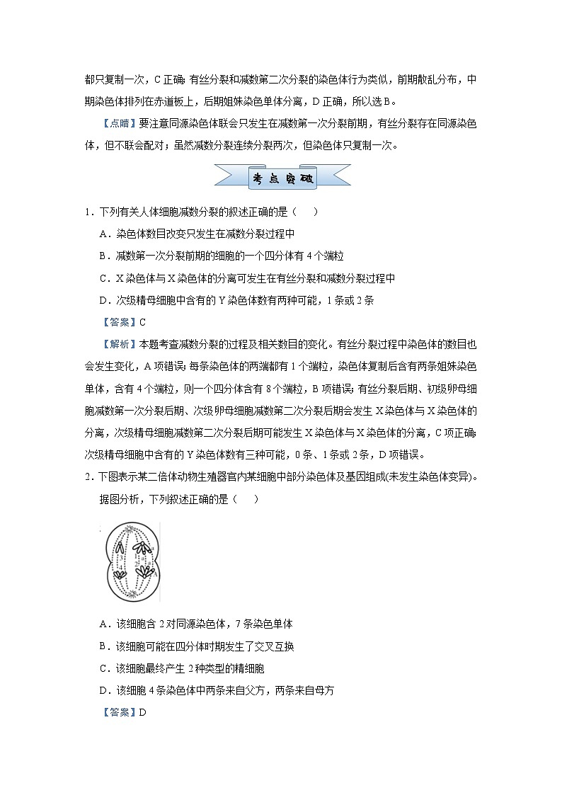 高中生物高考 2021届小题必练8  遗传的细胞学基础 教师版03