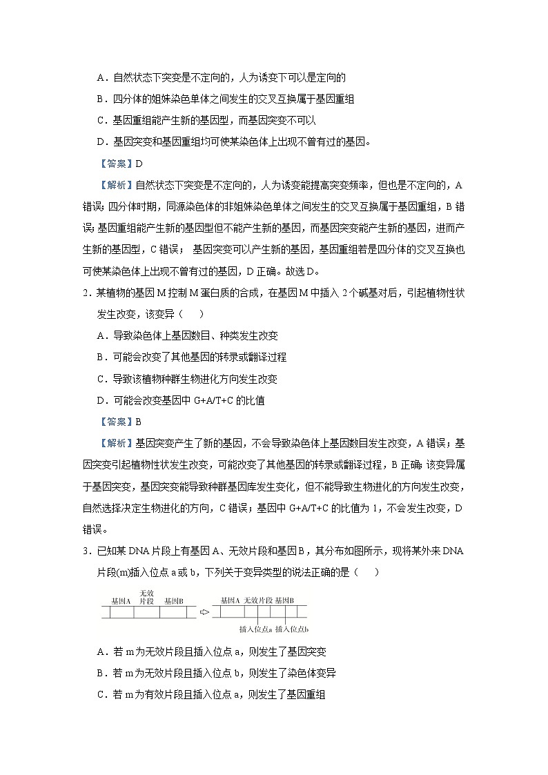 高中生物高考 2021届小题必练14  生物的变异及育种  生物的进化 教师版03