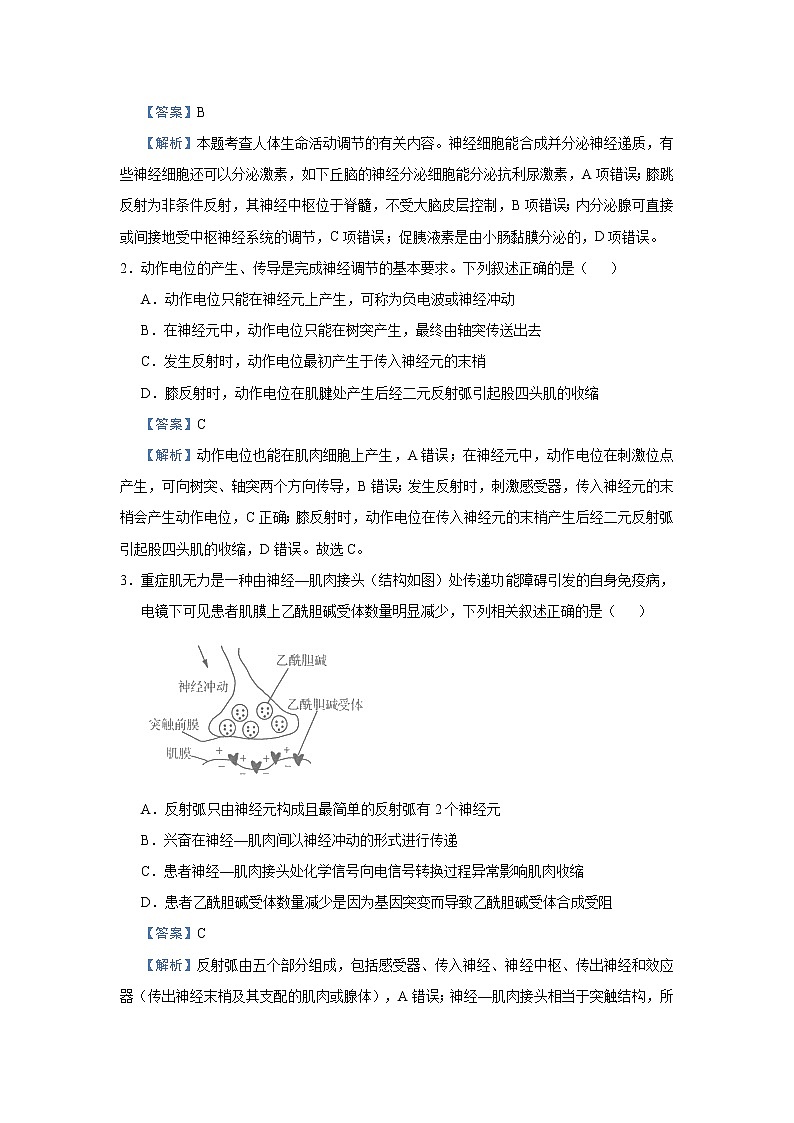 高中生物高考 2021届小题必练16  动物及人体生命活动的调节 教师版第3页