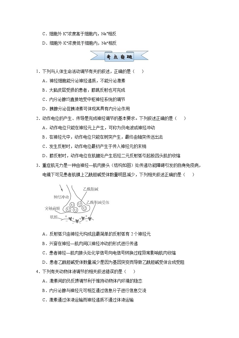 高中生物高考 2021届小题必练16  动物及人体生命活动的调节 学生版第2页