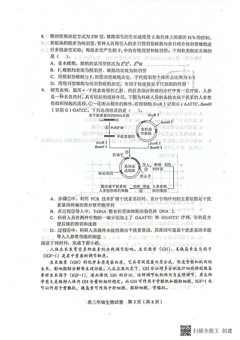 2023天津和平区高三下学期一模考试生物试卷PDF版无答案03