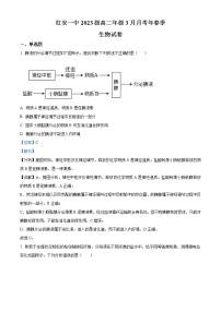 2023红安县一中高二下学期3月月考试题生物含解析