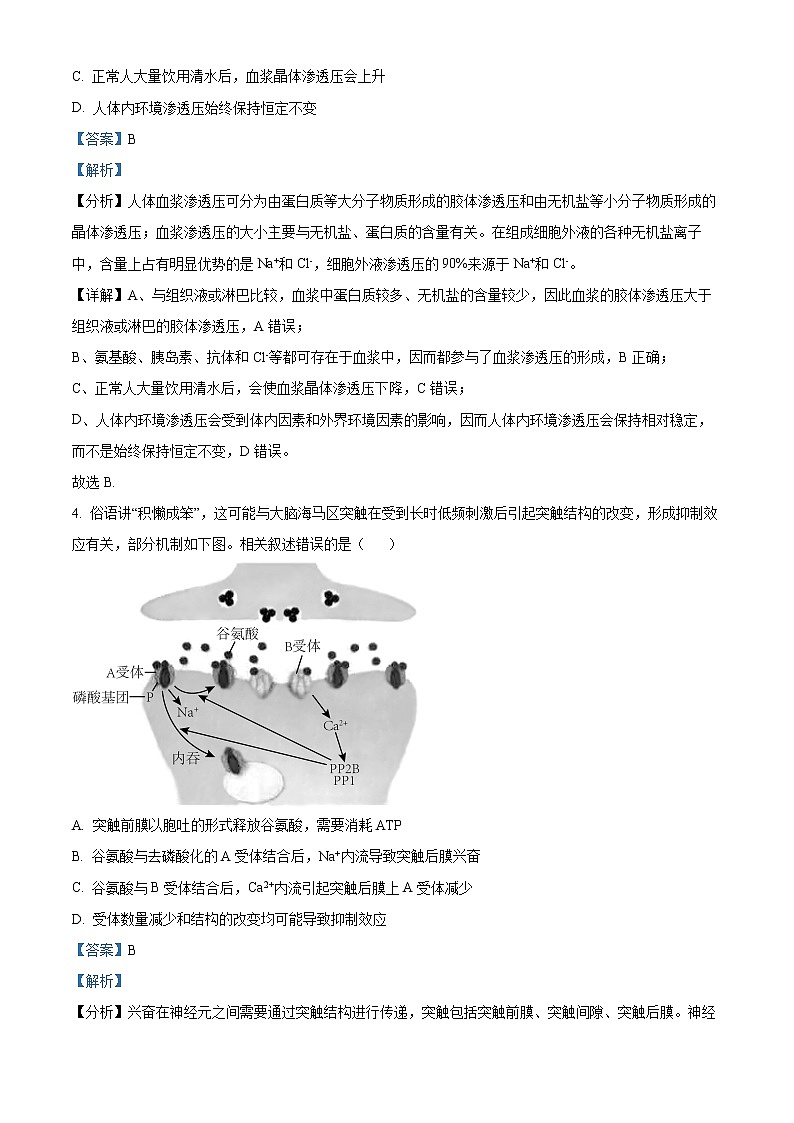 2023红安县一中高二下学期3月月考试题生物含解析03