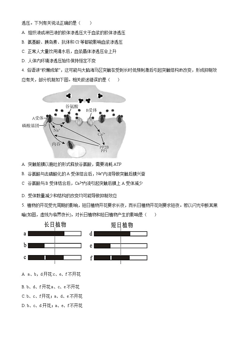 2023红安县一中高二下学期3月月考试题生物含解析02
