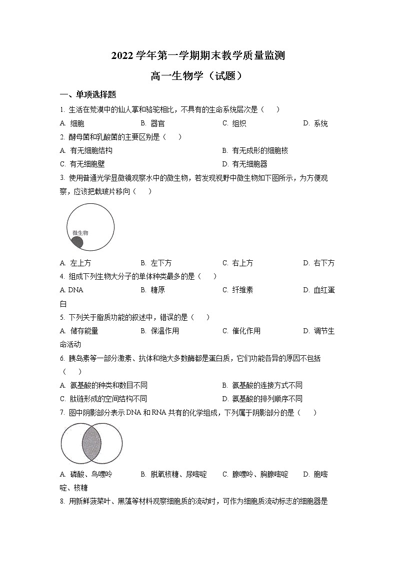 广东省广州市六区2022-2023学年高一生物上学期期末教学质量监测试题（Word版附答案）第1页