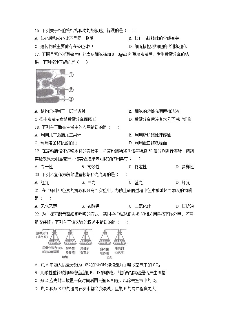 广东省广州市六区2022-2023学年高一生物上学期期末教学质量监测试题（Word版附答案）第3页