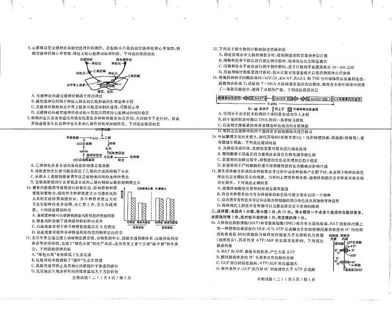 2022年山东省聊城市普通高中学业水平等级考试模拟卷（二） 生物试题 PDF版02