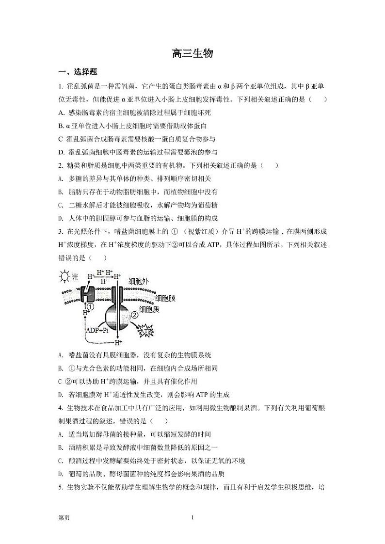 2023届湖北省襄阳四中等高中名校联盟高三第一次联合测评生物试题（PDF版）01