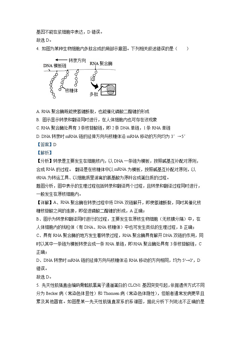 辽宁省协作校2022-2023学年高三生物下学期第一次模拟考试试题（Word版附解析）03