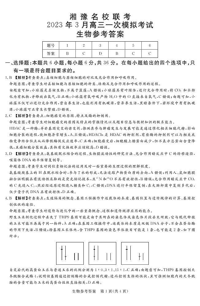 湘豫名校联考2022-2023学年高三下学期3月第一次模拟考试生物答案和解析01