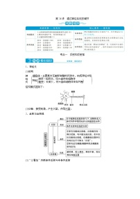 高中生物高考2　第八单元　第24讲　通过神经系统的调节