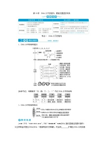 高中生物高考2　第六单元　第18讲　DNA分子的结构、复制及基因的本质