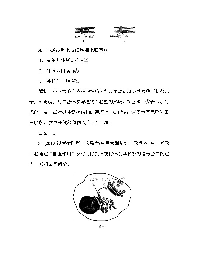 高中生物高考2-2-2第2页