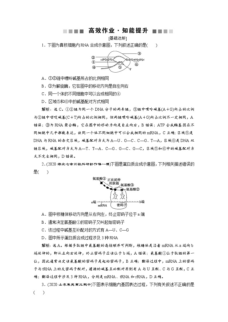 高中生物高考3　第六单元　第19讲　高效作业知能提升第1页
