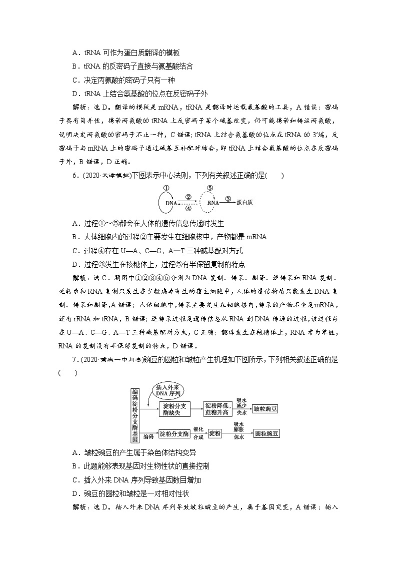 高中生物高考3　第六单元　第19讲　高效作业知能提升第3页