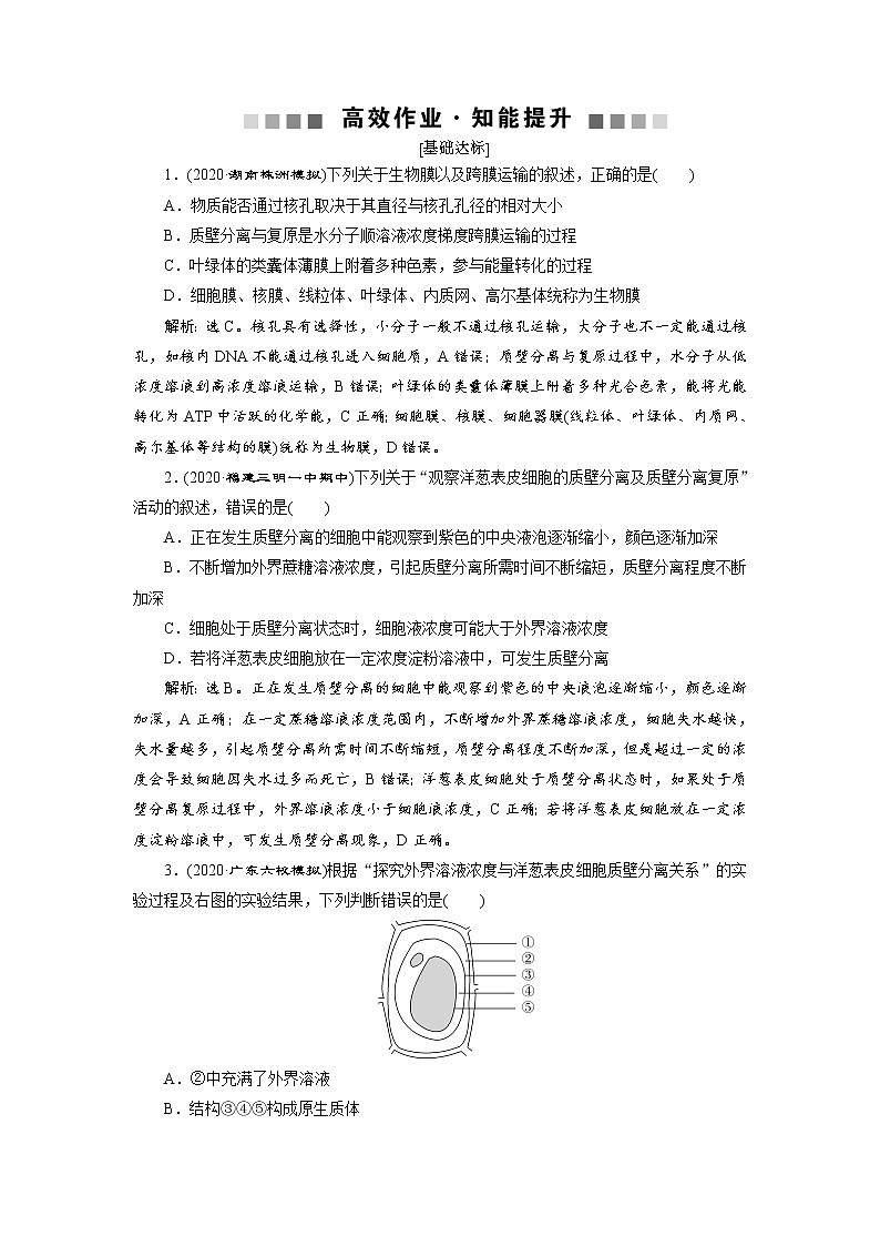 高中生物高考4 第6讲　高效作业知能提升第1页