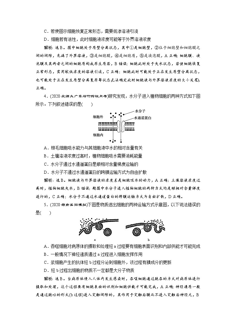 高中生物高考4 第6讲　高效作业知能提升第2页