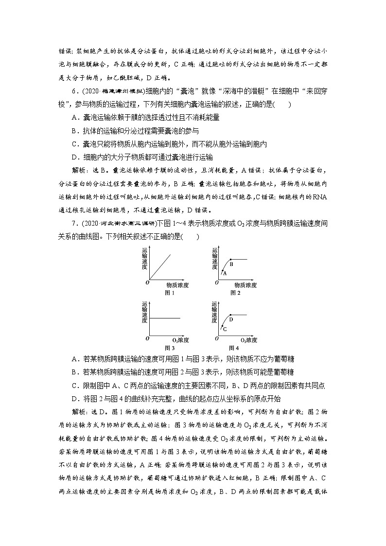 高中生物高考4 第6讲　高效作业知能提升第3页