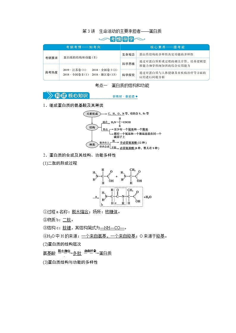 高中生物高考3　第一单元　第3讲　生命活动的主要承担者——蛋白质第1页