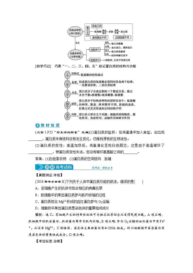 高中生物高考3　第一单元　第3讲　生命活动的主要承担者——蛋白质第2页