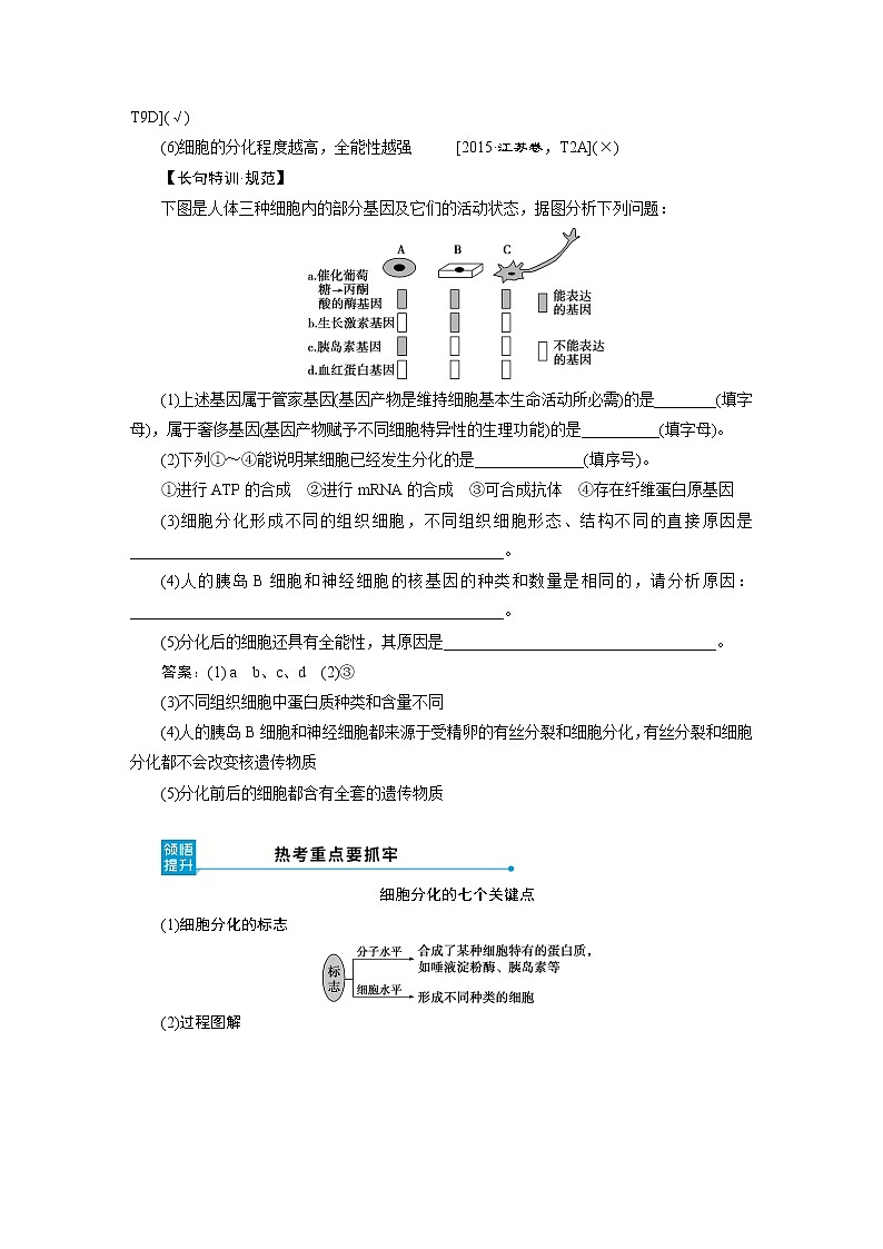 高中生物高考4　第四单元　第13讲　细胞的分化、衰老、凋亡和癌变第3页
