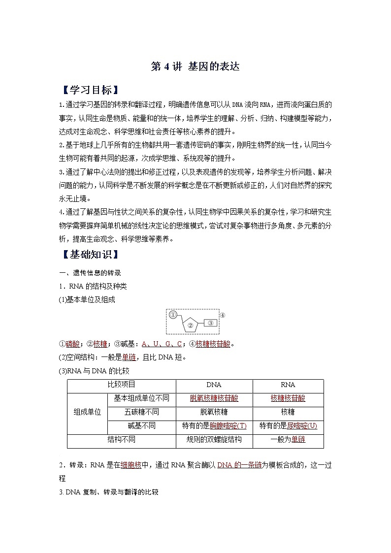 (寒假班)人教版高中生物必修二同步讲义第04讲 基因的表达-（含详解）01