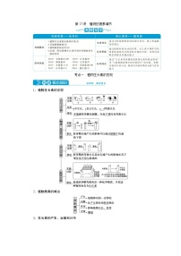 高中生物高考9　第八单元　第27讲　植物的激素调节