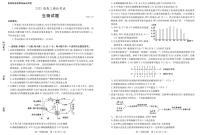 2023枣庄高三下学期3月二模考试生物PDF版含答案