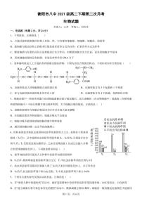 2023衡阳八中高二下学期第二次（3月）月考试题生物PDF版含解析（可编辑）