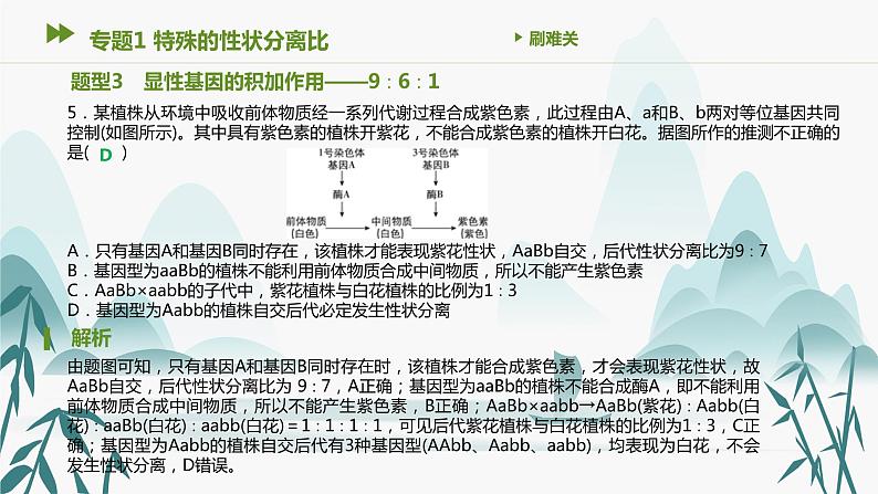 第1章 遗传因子的发现 专题1 特殊的性状分离比课件PPT第6页