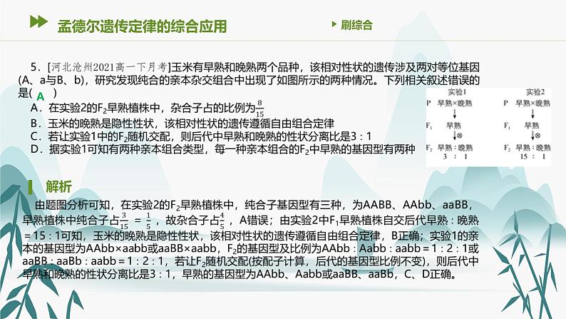 第1章 遗传因子的发现 孟德尔遗传定律的综合应用课件PPT07