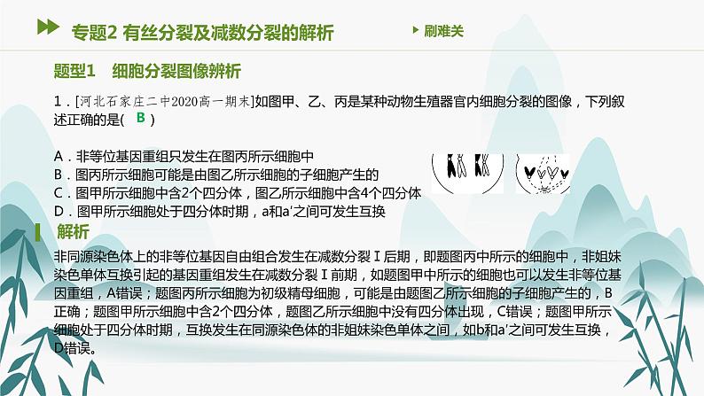 第2章 基因和染色体的关系 专题2 有丝分裂及减数分裂的解析课件PPT02