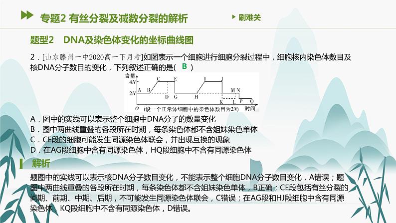 第2章 基因和染色体的关系 专题2 有丝分裂及减数分裂的解析课件PPT03