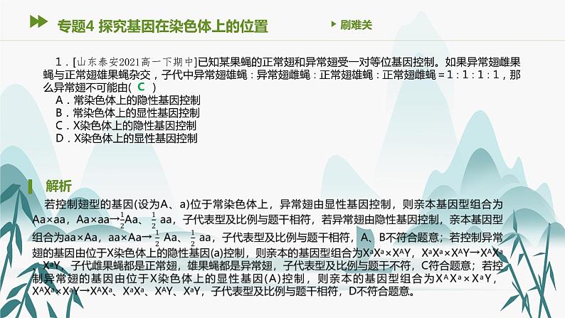 第2章 基因和染色体的关系 专题4 探究基因在染色体上的位置课件PPT第2页