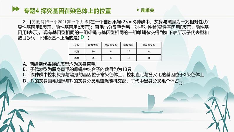 第2章 基因和染色体的关系 专题4 探究基因在染色体上的位置课件PPT第3页