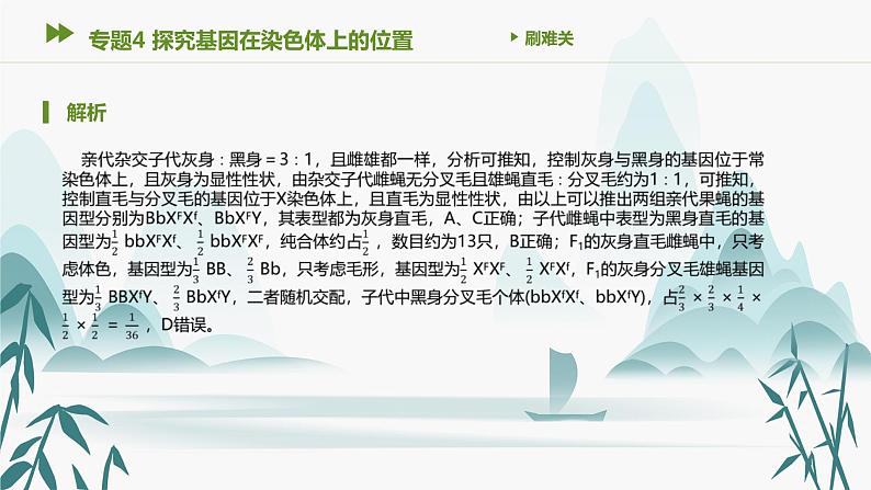 第2章 基因和染色体的关系 专题4 探究基因在染色体上的位置课件PPT第4页