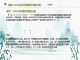 第3章 基因的本質(zhì) 專題5   DNA的半保留復制與細胞分裂課件PPT