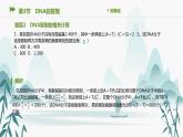 第3章 基因的本质 第3节　DNA的复制课件PPT