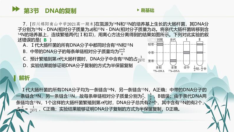 第3章 基因的本质 第3节　DNA的复制课件PPT第8页