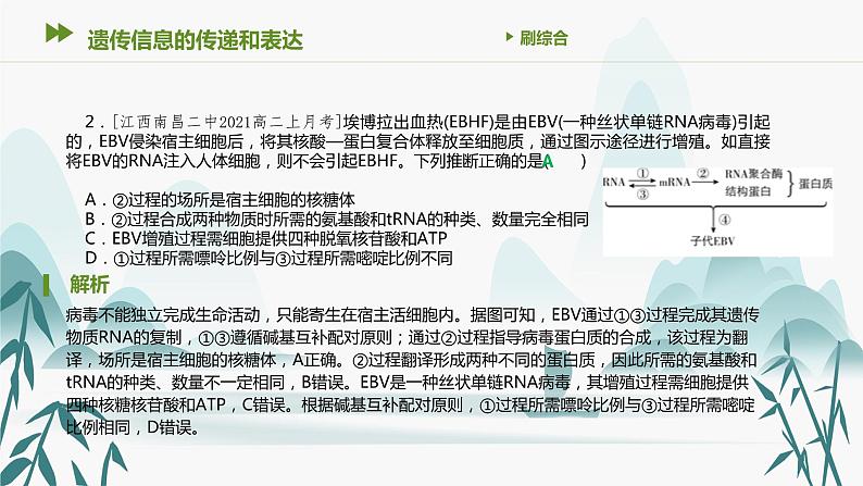 第4章 基因的表达 遗传信息的传递和表达课件PPT第3页