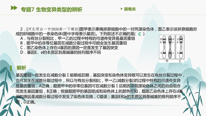 第5章 基因突变及其他变异 专题7 生物变异类型的辨析课件PPT第3页