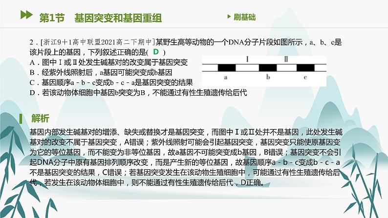 第5章 基因突变及其他变异 第1节　基因突变和基因重组课件PPT第3页