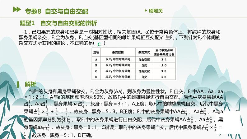 第6章 生物的进化 专题8 自交与自由交配课件PPT02